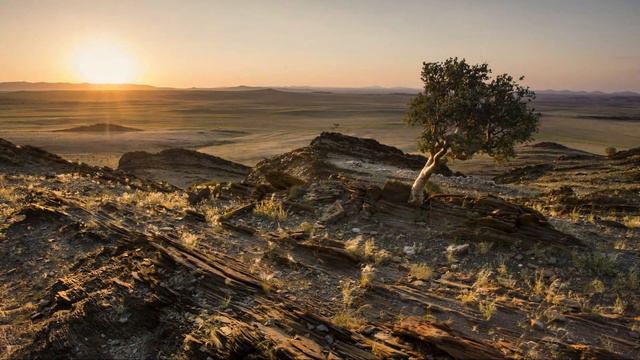 A Photographer's Dream - Namibia смотреть онлайн