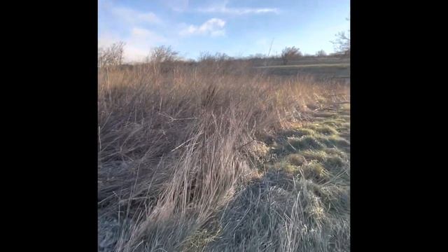 Вид участка с другой стороны ? а какой пейзаж…… смотреть онлайн