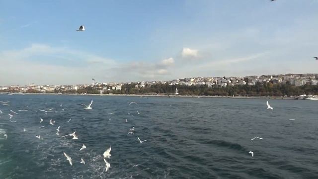 Istanbul: From Kabatas to Princes' Island смотреть онлайн