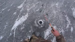 ПОИСК РЫБНЫХ МЕСТ В ЛИПЕЦКОЙ ОБЛАСТИ!/ЗИМНЯЯ РЫБАЛКА 2020.