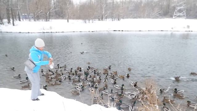 ТЕПЛОЕ ОЗЕРО смотреть онлайн