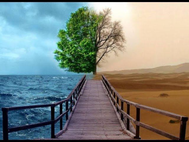 Виталий Вохмянин - Жизнь смотреть онлайн