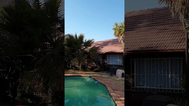What happens when you plant a palm tree too close to your house смотреть онлайн