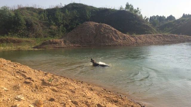 ВЕОЛАР САМАНТА