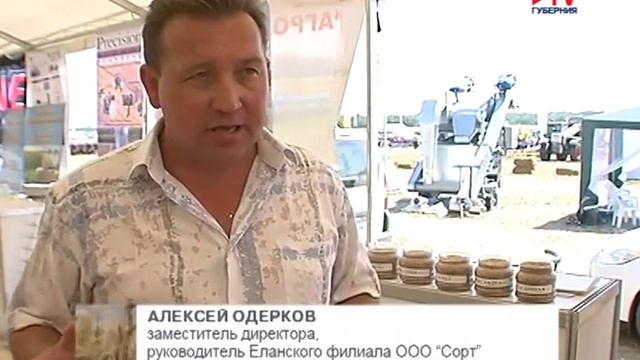 День Поля 2015 Сорт смотреть онлайн