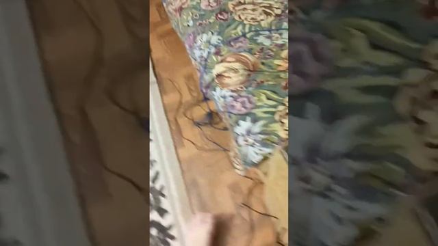 #рекомендации ОБЗОР МЫШОК!! ПОБЕДИЛА МЫШКА TM let's go смотреть онлайн