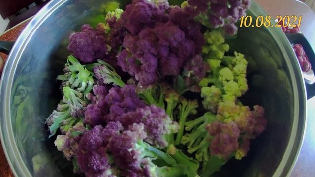 Цветная капуста сорт Лиловый Шар. Цветная капуста интересного цвета. Готовлю лиловую капусту на ужи смотреть онлайн