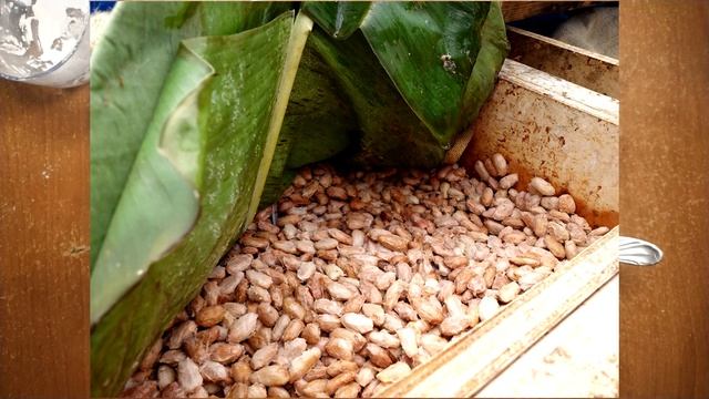 Фокусы с Картами