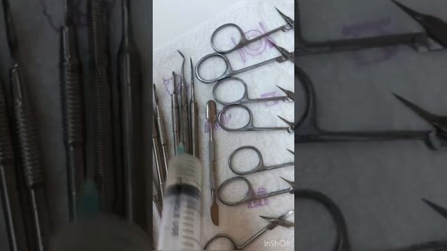 Кулинарное Путешествие