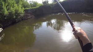 Уклейка ПРЁТ одна за одной. Ловля уклейки на поплавочную удочку | Илюха Ловит