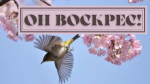 Он воскрес! - красивая пасхальная песня