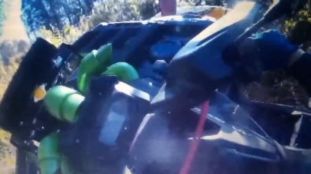 Желтый муравьишка на медвежуть-20 смотреть онлайн