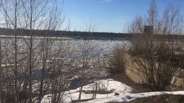 Республика Коми река Печера смотреть онлайн