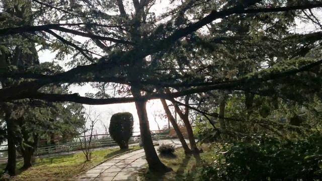 Идём к Морю. 4К. Харакский Парк. Крым - Ялта, пгт. Гаспра. Юбк. Чёрное Море. смотреть онлайн