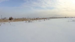 Подпустил на два метра. Тропление новогоднего зайца. Охота на косого.