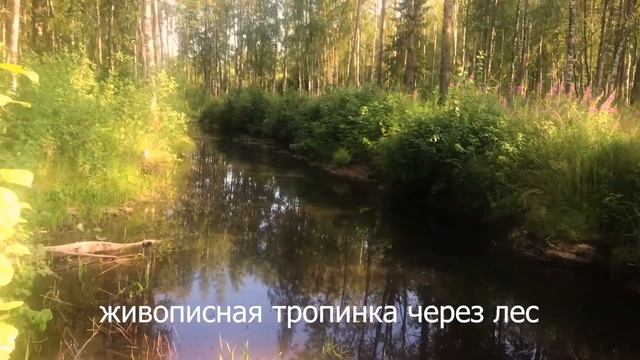 продажа участка в цветково смотреть онлайн