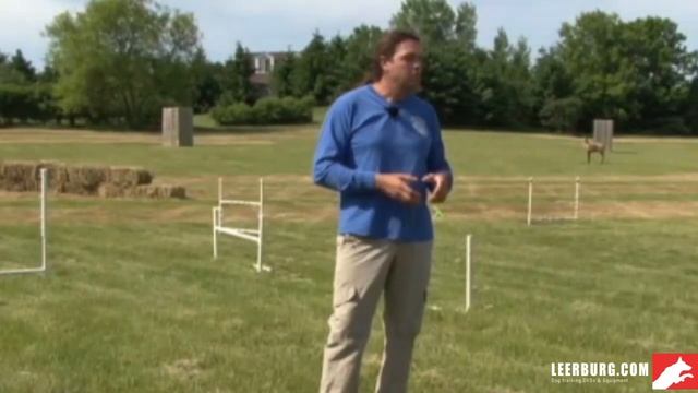 The Foundation of Puppy Bite Work I Lecture taken from DVD смотреть онлайн