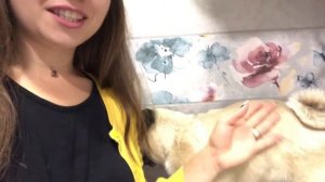 Стрижка собаки машинкой дома ? Мопс стриженный под машинку ?♂️✂️