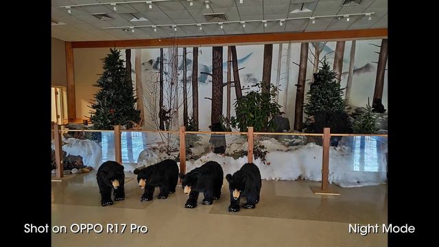 OPPO R17 Pro Review - Color Coded Bliss смотреть онлайн