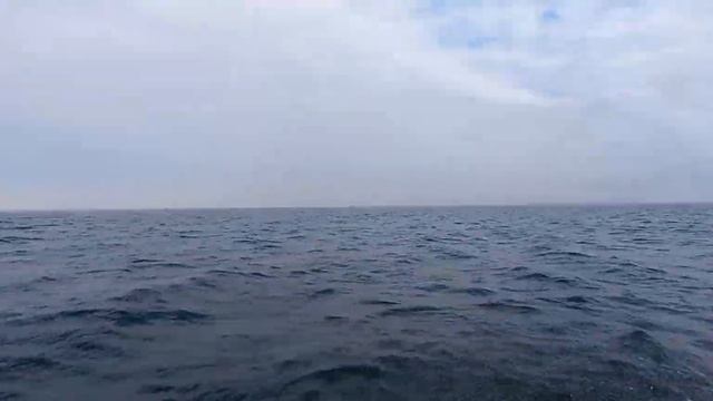 Aiqidi 6hp 4stroke Speed Test 6knot смотреть онлайн