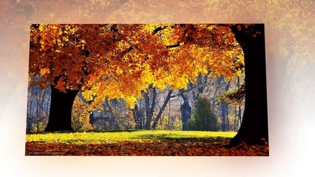 Золотая осень, желтых листьев россыпь.... смотреть онлайн