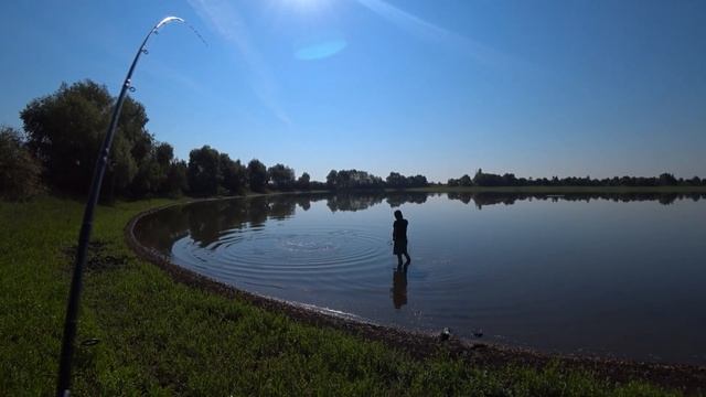 Как мы ловим карпа и белого амура на пруду смотреть онлайн