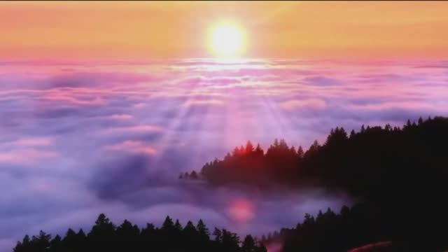 На Крыльях Ветра