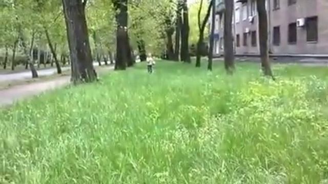 Мама, там КАКАШКИ!!! смотреть онлайн