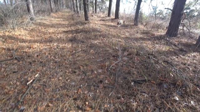 Объединение души и энергии