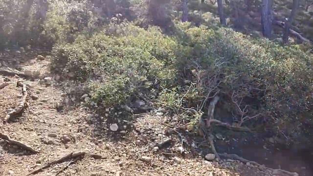 Чамьюва. Отель. Море. Потрясные виды смотреть онлайн