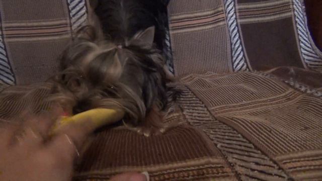 ANITA смотреть онлайн