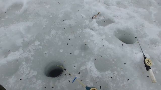 Рыбалка Зима 2017 2-й пруд в с.Береговое (Прохоровка) 25.02.2017 смотреть онлайн
