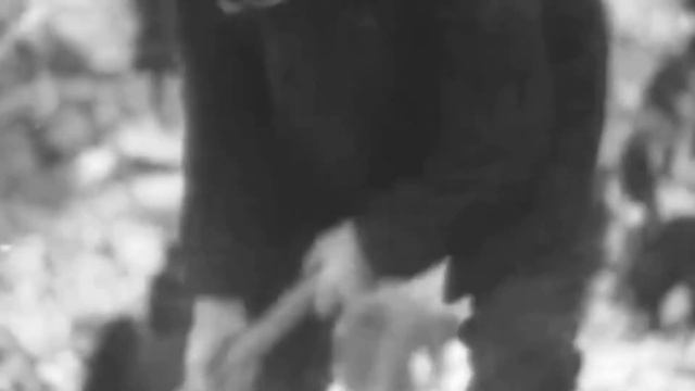 О новомучениках и исповедниках Российских смотреть онлайн