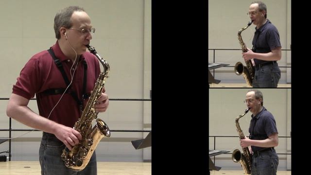 Medieval music on saxophone: Guillaume de Machaut – Donnez, signeurs смотреть онлайн