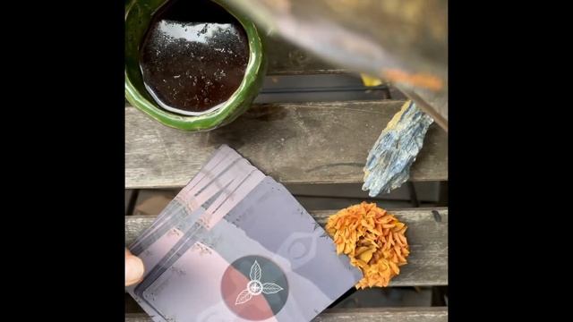 First Time Ever! Coffee Spirit Oracle Cards смотреть онлайн