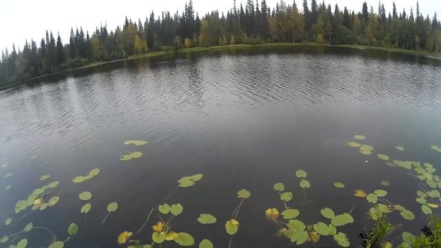 Рыбалка на хариуса в Коми (часть 3) смотреть онлайн