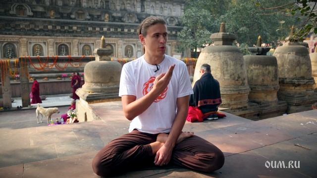 Дерево Бодхи - Дерево Пути. Антон Чудин смотреть онлайн