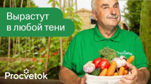 ЗЕЛЕНЬ И ОВОЩИ, КОТОРЫЕ ПРЕКРАСНО РАСТУТ В ТЕНИ! Что посадить в огороде в тени и полутени?