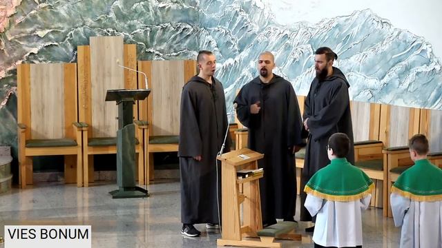 Vies Bonum 5/8 смотреть онлайн