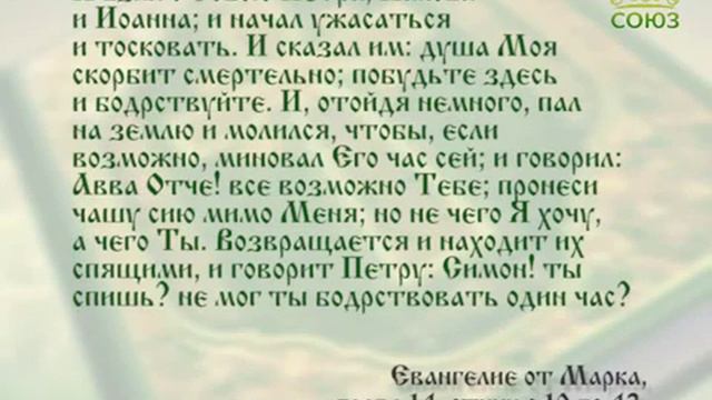 Читаем Евангелие вместе с Церковью 14 февраля 2017г смотреть онлайн