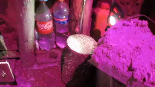 Землянка выживание! Харьков! Харьковская область! своими руками! реальные советы! растапливаем печ смотреть онлайн