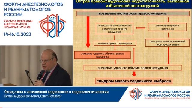 Оксид азота в ИТ и кардиоИТ Баутин А.Е. смотреть онлайн