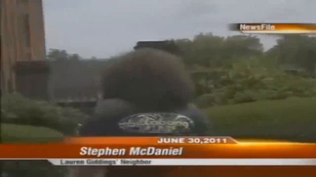 The Stephen McDaniel Footage смотреть онлайн
