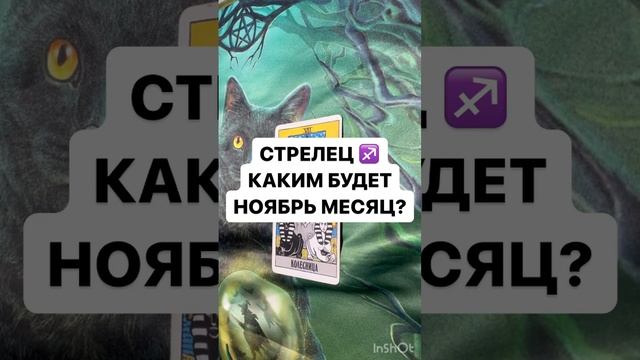 СТРЕЛЕЦ ♐️ КАКИМ БУДЕТ НОЯБРЬ МЕСЯЦ ? смотреть онлайн