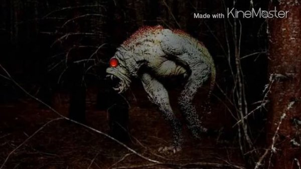 Неизвестные Животные Планеты Земля 086 - Ужас Энфилда