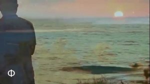 Я поля влюбленным постелю.      Диана Гурцкая.