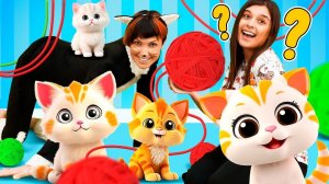 Дикая кошка делится игрушками!  Песенки для детей про игрушки. Развивающие видео Капуки Кануки