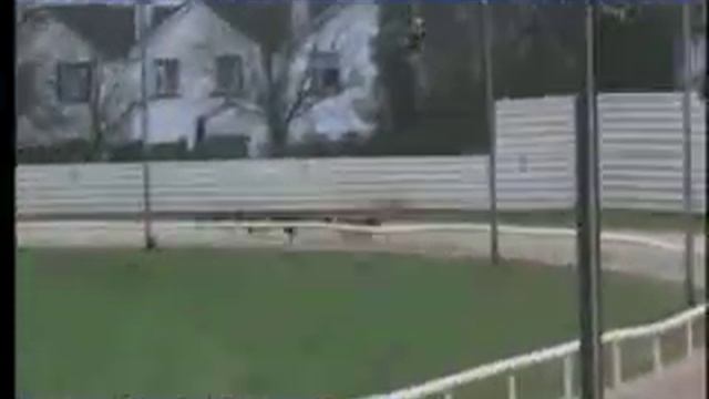 IGB - The Irish Retired Greyhound Trust A7 20/02/2019 Race 2 - Kilkenny смотреть онлайн