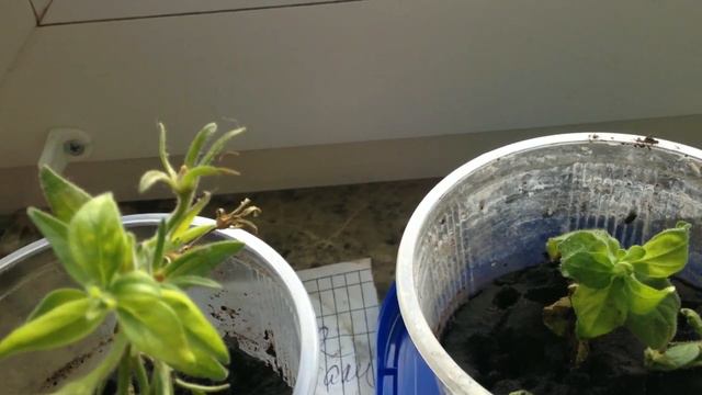 ❄❄ПОГОДА ВЧЕРА И СЕГОДНЯ❄ ❄ смотреть онлайн