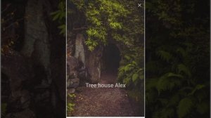 ♪♡ песни в стиле goblincore♡♪